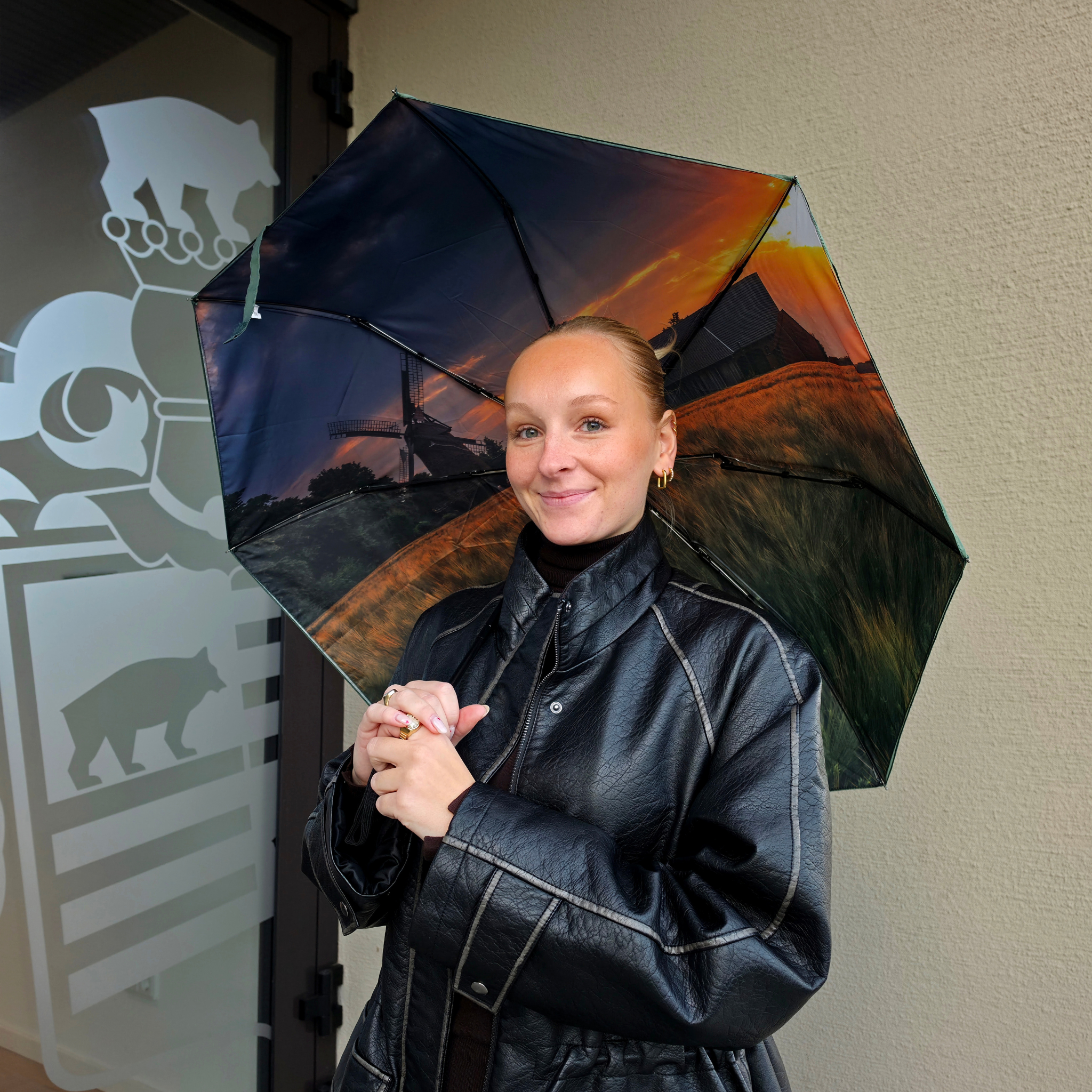 Taschen-Regenschirm